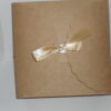 Brown Self-Care Gift Box